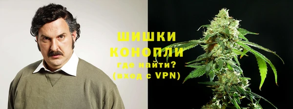 крисы Зеленодольск