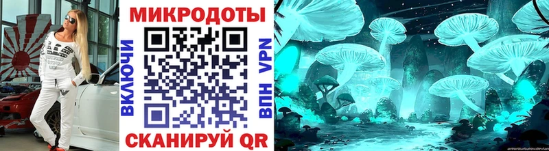 Купить  Елабуга  Псилоцибиновые грибы Psilocybine cubensis 